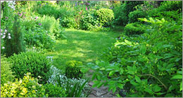 Jardinage - Des merveilles sans pesticides